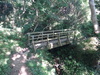 A footbridge over a stream near Hayburn Wyke.