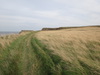 The path leading up to Lebberston Cliff.