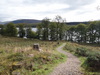 The path leading down from the B8005 towards the lochside.
