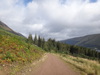 Following the track northeastwards along the northern shore of Loch Lochy.