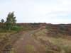 The track heading north across the moorland past Corryfoyness.