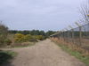 The path beside the fence of RAF Woodbridge.