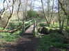 A footbridge over a stream near Potton Hall.