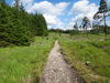The path climbing up towards Mam Carraigh.