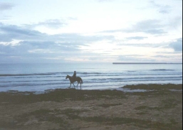 AF16	A horserider on Warrnambool beach.
