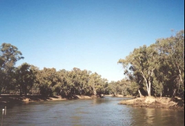 AF35	The Murray River viewed from the paddlesteamer.