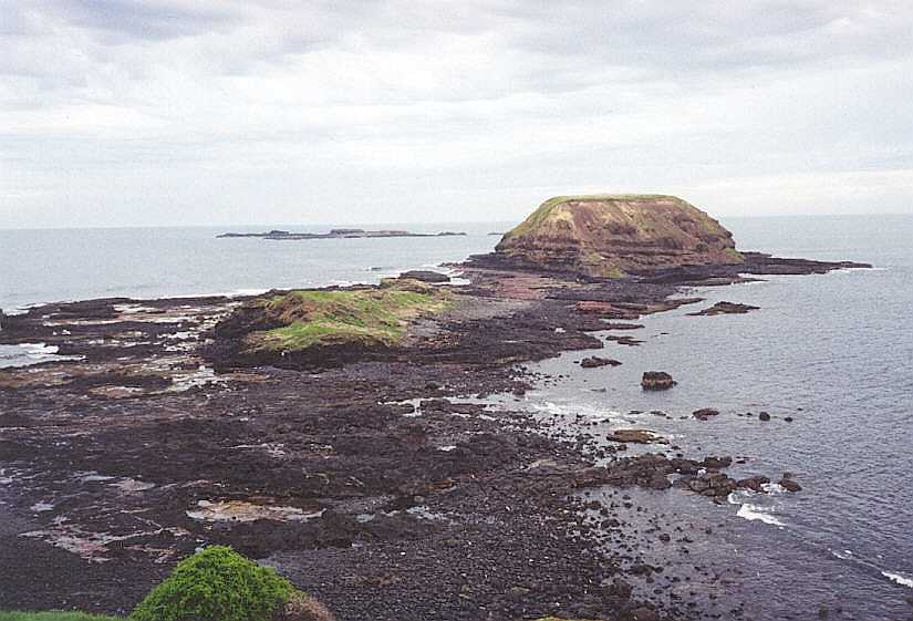 Seals Rocks on Philip Island.