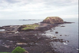 AH27	Seals Rocks on Philip Island.