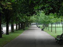 P20028290011	An avenue of trees leading to Blackheath Gate, 
