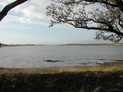 The river near Loompit Lake. 