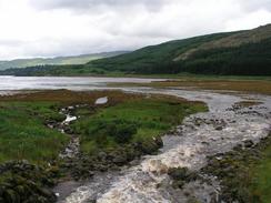 P20037105157	A stream running into Loch Sunart.