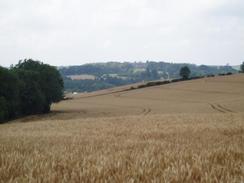 P20047301147	Fields near Oversley Castle.