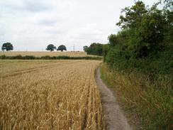 P20047311222	The path to the southwest of Balsall Farm.