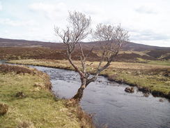 P20055115997	A stream near Loch an Dabhaich.
