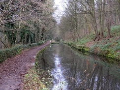P2005C268953	Heading north along the Cromford Canal.