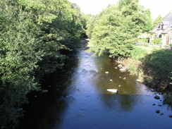 P20069285223	The Afon Efyrnwy in Pontrobert.