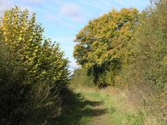 P2007B020178	Following the Test Way north from Nursling.