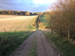 P2007B141204	The path between Ridgeway Copse and Caesar's Belt.