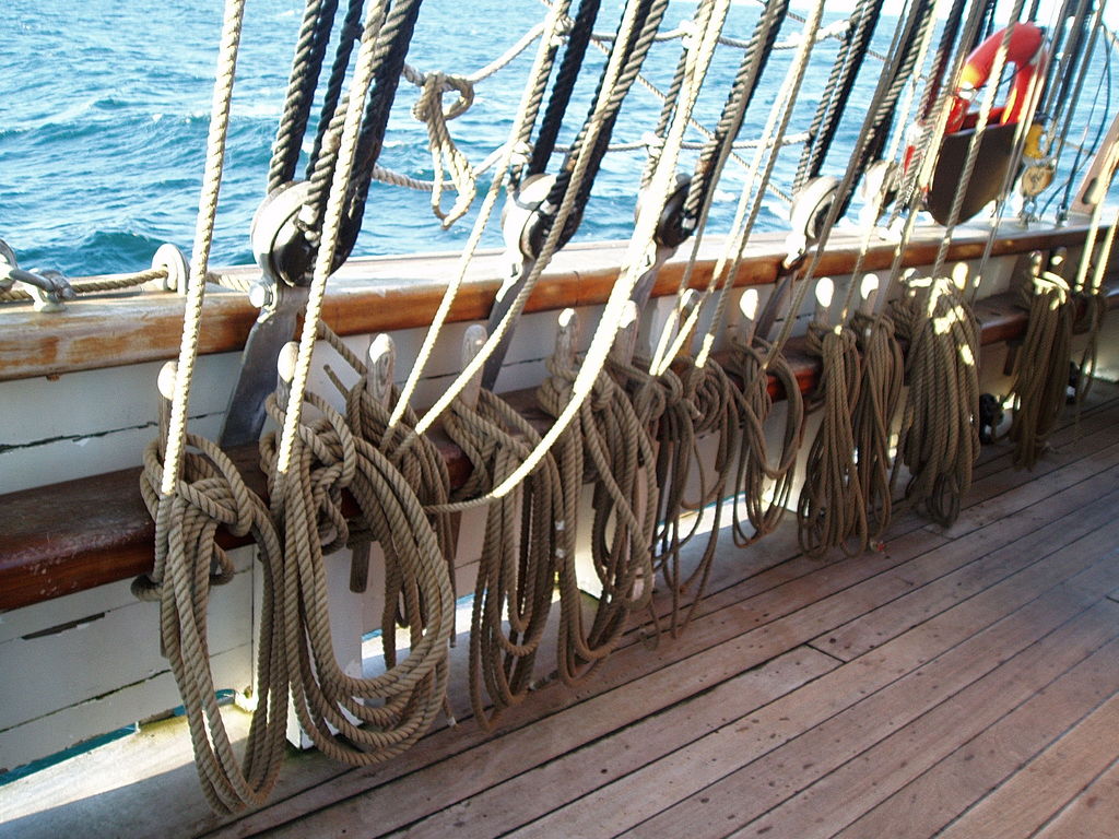 Pegs along the side of the boat.