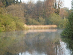 P20105120158	A lake in Toller Whelme.