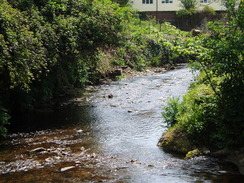 P20105130111	Following the stream southeastwards to Lyme Regis.