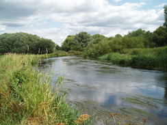 P20108050147	The River Avon near Ibsley Bridge.