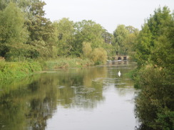P20109130036	The River Avon at Burgate Manor Farm.