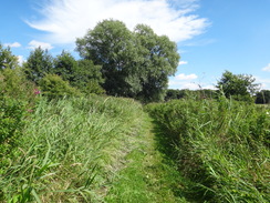 P2011DSC02691	The path along the northern bank of the River Waveney.