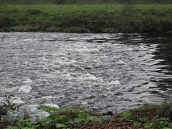 P2011DSC05176	Following the River Eden upstream from Carlisle.