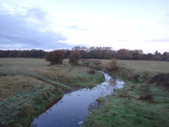 P2011DSC06448	A stream crossing the floodplain between Bungay and Earsham.