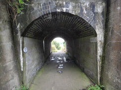 P2012DSC01521	A tunnel under the railway line in Mistley.