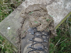 P2018DSC07864	Mud on my boot.