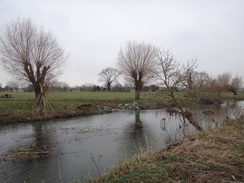 P2018DSC07880	The Great Ouse to the west of Stony Stratford.