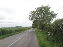 P2018DSC00965	The road between Glatton and Sawtry.