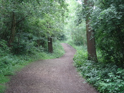 P2018DSC01106	The path through Bluebell Wood.