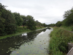 P2018DSC04071	The canal near Farm Bridge in Bishopbriggs.