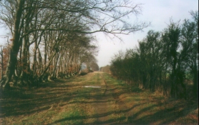 G08	Photo looking NW along the Roman road near Meggs Hill.