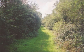 V04	Looking south along the Ouse Valley Way near Wray House in Great Paxton