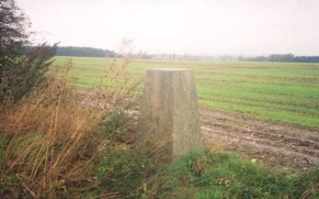 V13	The 96-metre Trig point at TL 254362.