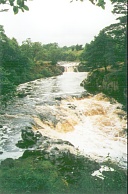 ZY24	Low Force.